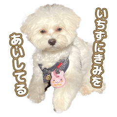 [LINEスタンプ] おとこやまスタンプ