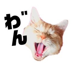 [LINEスタンプ] わ"んとして！Good！