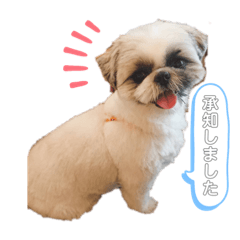 [LINEスタンプ] 二宮さんちのびびさん
