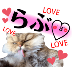 [LINEスタンプ] ゆきち 3