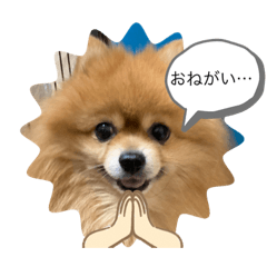 [LINEスタンプ] もこもこの日常スタンプ