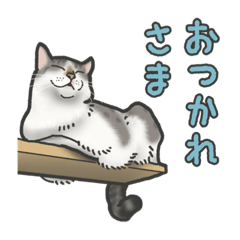 [LINEスタンプ] お猫さまスタンプ 1（まつとたけ）