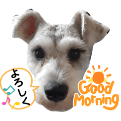 [LINEスタンプ] 仁君のスタンプNo2