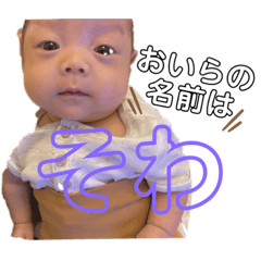 [LINEスタンプ] そわと申します。