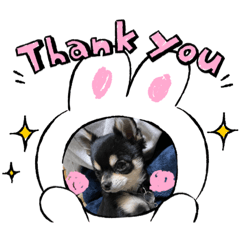 [LINEスタンプ] happinessスタンプ✌️