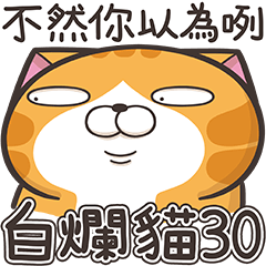 [LINEスタンプ] ランラン猫 30 (台湾版)