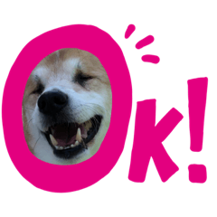 [LINEスタンプ] にこにこ笑顔ワンコスタンプ