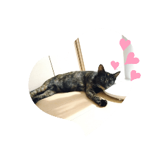 [LINEスタンプ] にゃんこのわさび