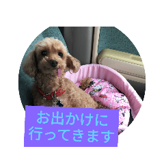 [LINEスタンプ] かわいい愛犬のスタンプです。