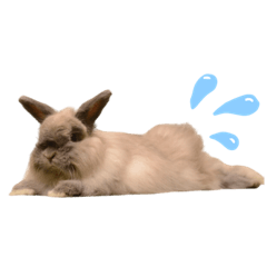 [LINEスタンプ] もちとむぎ vol,1