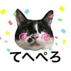 [LINEスタンプ] 墨吹きねこのしおしお