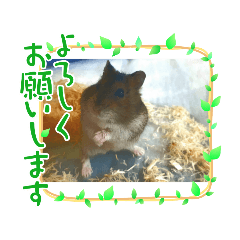 [LINEスタンプ] オモチスタンプ
