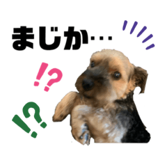 [LINEスタンプ] まぐろ先生Part 1
