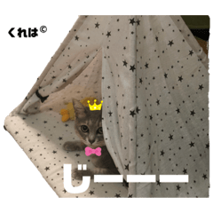 [LINEスタンプ] クレハ_official