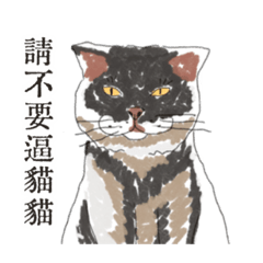 [LINEスタンプ] 猫を無理に押し込まないでください New