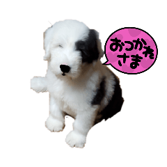 [LINEスタンプ] noachan430