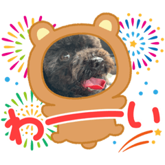 [LINEスタンプ] 我が家のボーちゃん
