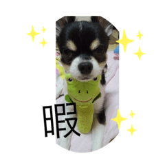 [LINEスタンプ] ロクk