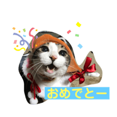 [LINEスタンプ] ニャンまげ丼