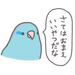 [LINEスタンプ] 自由なインコと文鳥たち