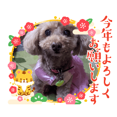 [LINEスタンプ] 色んな場面で使えるスタンプ(≧◡≦)