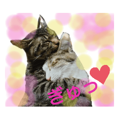 [LINEスタンプ] ねこ時々イタグレ2