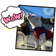 [LINEスタンプ] 雪＆オーマVol.1.2set
