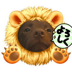 [LINEスタンプ] Choco Lab Moana's stamp
