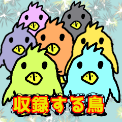 [LINEスタンプ] 番組収録する鳥