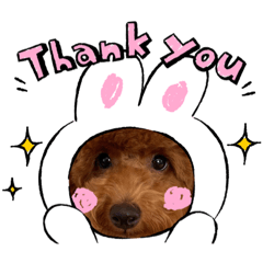 [LINEスタンプ] うちの子 くるみ