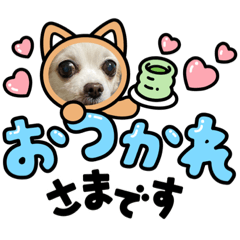 [LINEスタンプ] ゆめの毎日スタンプ4