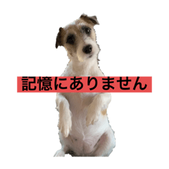 [LINEスタンプ] てぃーてゃんスタンプ