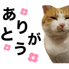 [LINEスタンプ] ぴち第一弾！