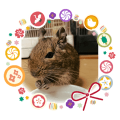 [LINEスタンプ] 優しいデグー達