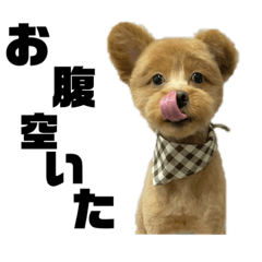 [LINEスタンプ] くうた君の日常
