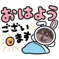 [LINEスタンプ] 山岸ふぁくんスタンプ