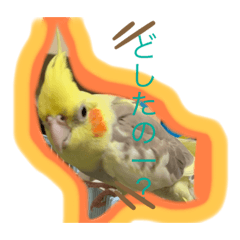 [LINEスタンプ] オカメさんの日常