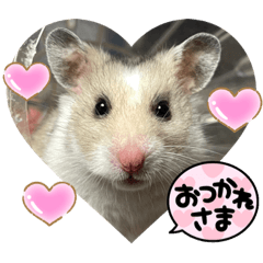 [LINEスタンプ] ハムちゃんシスターズ①