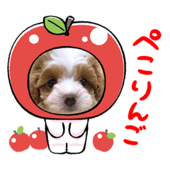 [LINEスタンプ] ありぽの日常可愛いスタンプ1