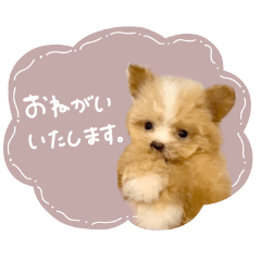 [LINEスタンプ] ♡ちゅちゅちゃん