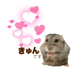 [LINEスタンプ] ハムスター   ふとちゃん＆ほそちゃん3