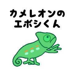 [LINEスタンプ] エボシカメレオンのエボシくんスタンプ