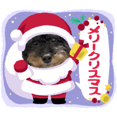 [LINEスタンプ] リアンクリスマス2021ver.
