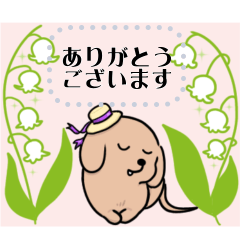 [LINEスタンプ] 終日ダックス-メッセージスタンプ-