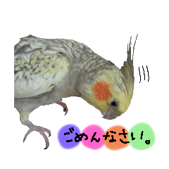 [LINEスタンプ] お鳥様スタンプ②