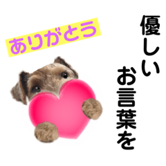 [LINEスタンプ] ウェルシュテリア♡ジェリーさんの1日(23)