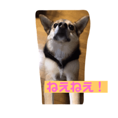 [LINEスタンプ] 花‘s スタンプ3