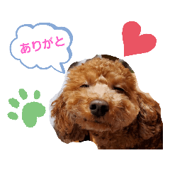 [LINEスタンプ] たまには挨拶したい
