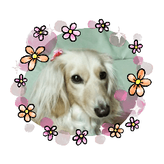 [LINEスタンプ] ☆ベルちゃんスタンプ☆