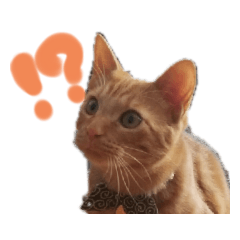 [LINEスタンプ] 茶色いねこたち